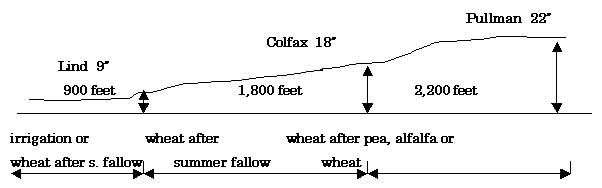 Annual precipitation & Feet above the sea level