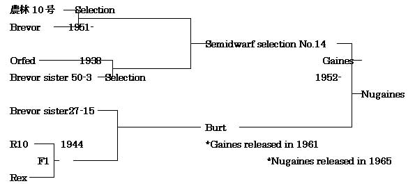 wa-species.jpg(16309 byte)